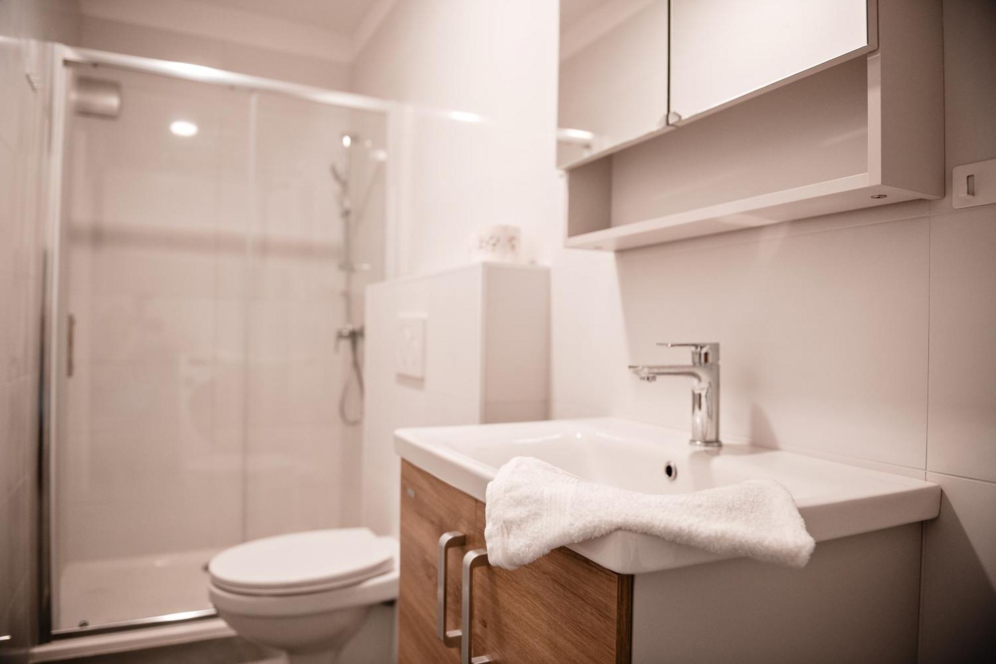 Metulj Apartment Domzale